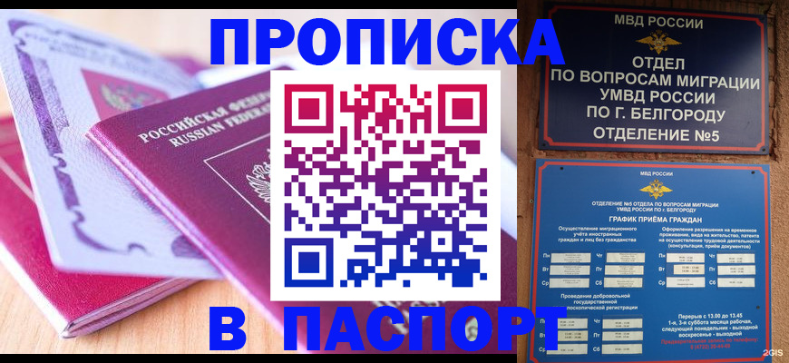 временная регистрация законно в Курской области